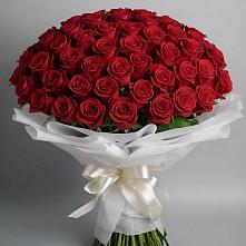 Букет 101 Красная роза Блэк Мэджик #REPLACE_PRED# Епифань