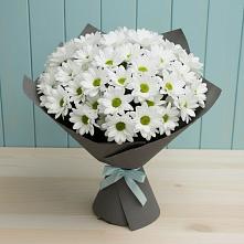 Букет цветов из:  Хризантемы в Епифань