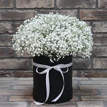 Цветочная композиция из Гипсофила в шляпной коробке в Епифань