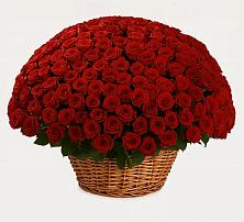 Премиум букет из: Розы в Епифань